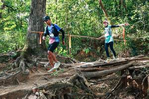 BIB: 
                            <button type="button" onclick="openModal(27558497)" class="btn btn-primary btn-sm float-right btn-popup" data-toggle="modal" data-target=".modal-high-quality">
                        <i class="fas fa-shopping-cart"></i> Add to Cart
                    </button>
                                            <button type="button" onclick="isThisMe(27558497, true)" class="btn btn-success btn-sm float-right btn-popup btn-isme hidden" data-toggle="tooltip" data-placement="bottom" title="นี่คือรูปของคุณใช่ไหม คลิกที่นี่เพื่อเอาเข้าอัลบั้ม">
                        <i class="fas fa-plus"></i> Add to album
                    </button>
                    <button type="button" onclick="isThisMe(27558497, false)" class="btn btn-warning btn-sm float-right btn-popup btn-isnotme hidden">
                        <i class="fas fa-ban"></i> Remove from album
                    </button>